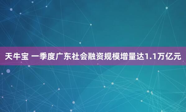 天牛宝 一季度广东社会融资规模增量达1.1万亿元