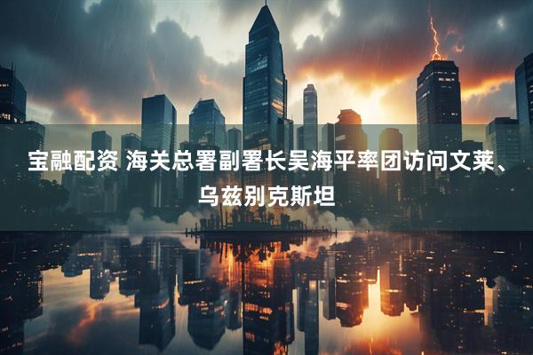 宝融配资 海关总署副署长吴海平率团访问文莱、乌兹别克斯坦