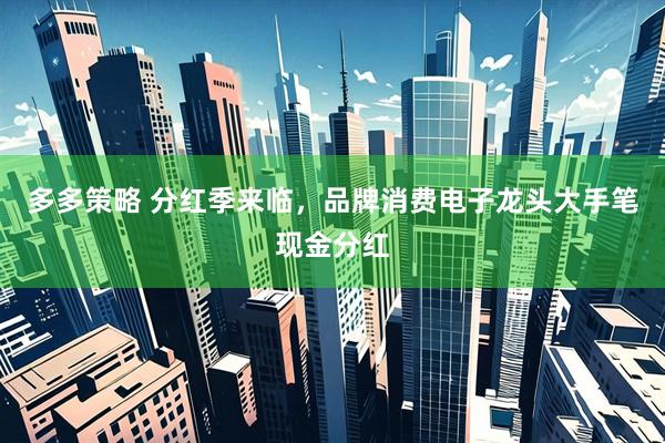 多多策略 分红季来临，品牌消费电子龙头大手笔现金分红