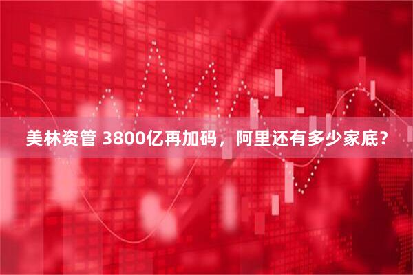 美林资管 3800亿再加码，阿里还有多少家底？