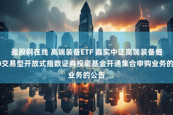 盈股网在线 高端装备ETF 嘉实中证高端装备细分50交易型开放式指数证券投资基金开通集合申购业务的公告